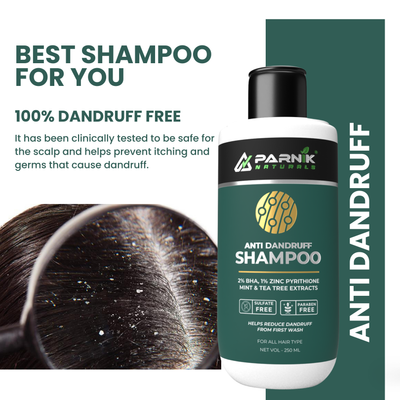 Parnik Naturals Anti-Dandruff Spray & Shampoo Combo | 2-Step Herbal Scalp Therapy for Flake-Free, Healthy Hair